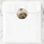 Cute Yorkie Ronde Sticker (Tas)