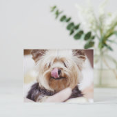 Cute Yorkie Terrier Briefkaart (Staand voorkant)