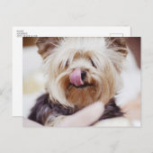 Cute Yorkie Terrier Briefkaart (Voorkant / Achterkant)