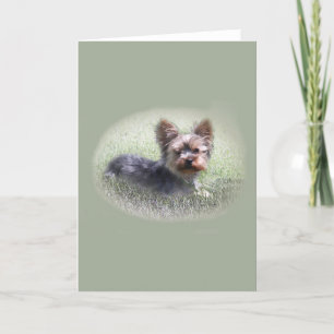 Cute Yorkie Terrier Buddy Custom Wenskaart Kaart