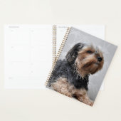 Cute Yorkie Yorkshire Terrier bronzage  (Devant avec enveloppe)