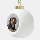 Cute Yorkie Yorkshire Terrier Sunbathing Keramische Bal Ornament (Rechts)