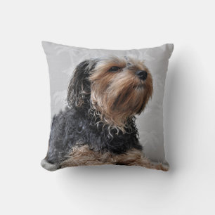 Cute Yorkie Yorkshire Terrier Sunbathing Kussen