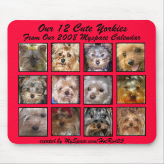 CUTE YORKIES 2008 CALENDAR (op een mousepad) RED Muismat
