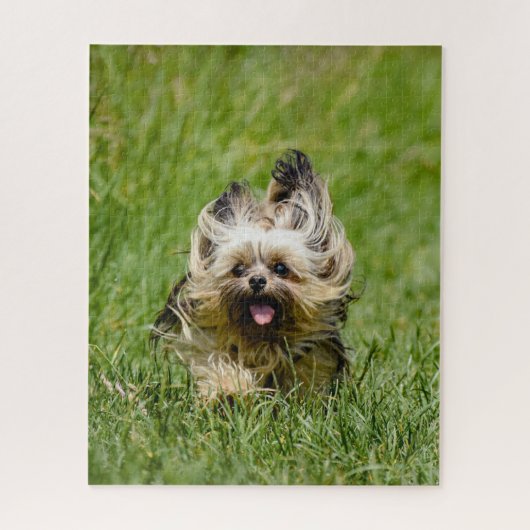 Cute Yorkshire Terrier die door Grass loopt Legpuzzel (Verticaal)