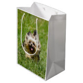 Cute Yorkshire Terrier die door Grass loopt Medium Cadeauzakje (Achterkant Gekanteld)