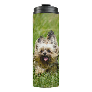 Cute Yorkshire Terrier die door Grass loopt Thermosbeker