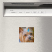 Cute Yorkshire Terrier Dog Head Magnet (In Situ (Lave-vaisselle))