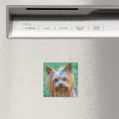 Cute Yorkshire Terrier Dog Head Magnet (In Situ (Lave-vaisselle))