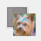 Cute Yorkshire Terrier Dog Head Magnet (Recto/Verso)