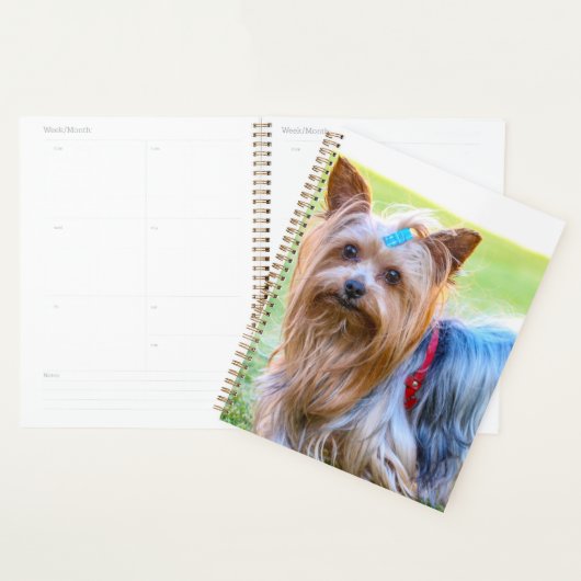 Cute Yorkshire Terrier Dog Head Planner (Display)