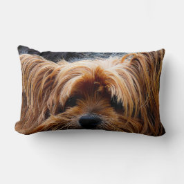 Cute Yorkshire Terrier Dog Kussen