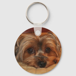 Cute Yorkshire Terrier Dog Sleutelhanger