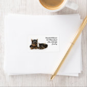 Cute Yorkshire Terrier puppies Etiket (Insitu)