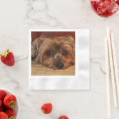 Cute Yorkshire Terrier Puppy Dog Servet (Insitu)