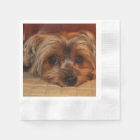 Cute Yorkshire Terrier Puppy Dog