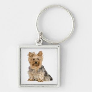 Cute Yorkshire Terrier Puppy Dog Sleutelhanger