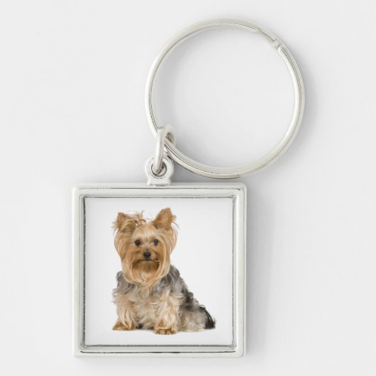 Cute Yorkshire Terrier Puppy Dog Sleutelhanger (Voorkant)