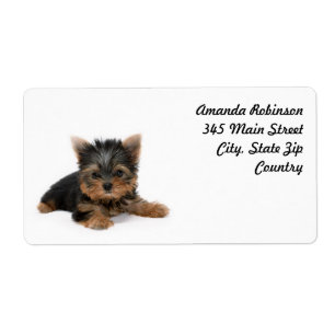 Cute Yorkshire Terrier Puppy Etiket