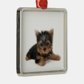 Cute Yorkshire Terrier Puppy Metalen Ornament (Rechts)
