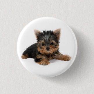 Cute Yorkshire Terrier Puppy Ronde Button 3,2 Cm