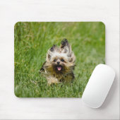 Cute Yorkshire Terrier Running Through Grass Muismat (Met muis)