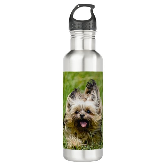 Cute Yorkshire Terrier Running Through Grass Waterfles (Voorkant)
