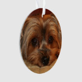 Cute Yorkshire Terrier Yorkie Dog Ornament (voorkant)
