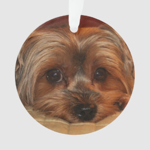 Cute Yorkshire Terrier Yorkie Dog Ornament