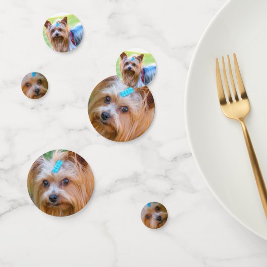 Cute Yorkshire Terrier Yorkie Favorite Breed Confetti (Groep)