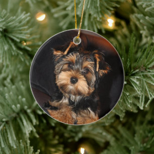 Cute Yorkshire Terrier Yorkie Puppy Dog Keramisch Ornament
