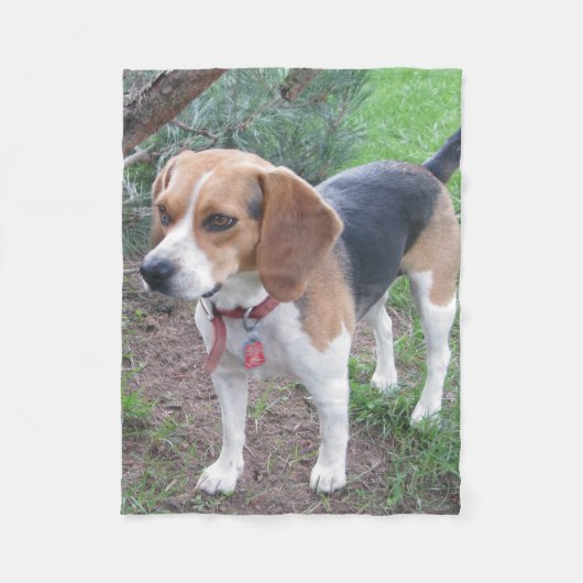 Cute Young Beagle Fleece Blanket (Voorkant)