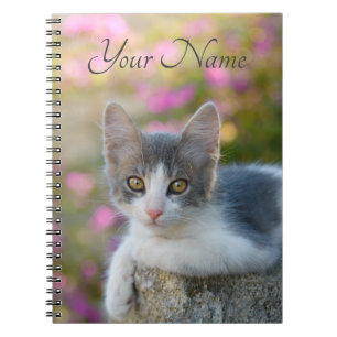 Cute Young Bicolor Cat Kitten Pink Flowers - Naam Notitieboek