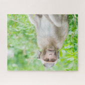 Cute Young Brown Spider Monkey Legpuzzel (Horizontaal)