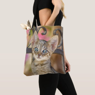 Cute Young Tabby Kitten met blauwe ogen in een tui Draagtas