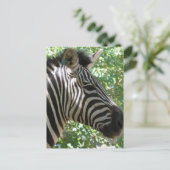 Cute Zebra Briefkaart (Staand voorkant)