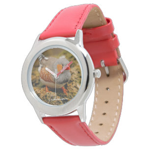 Cute Zebra Finch Songbird on the Rocks Horloge