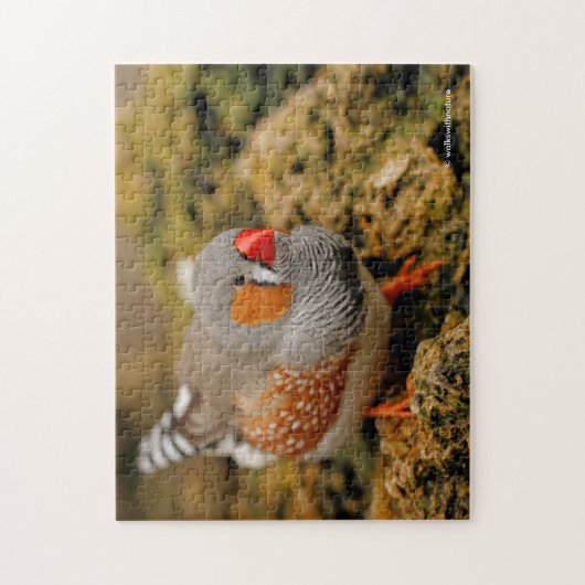 Cute Zebra Finch Songbird on the Rocks Legpuzzel (Verticaal)