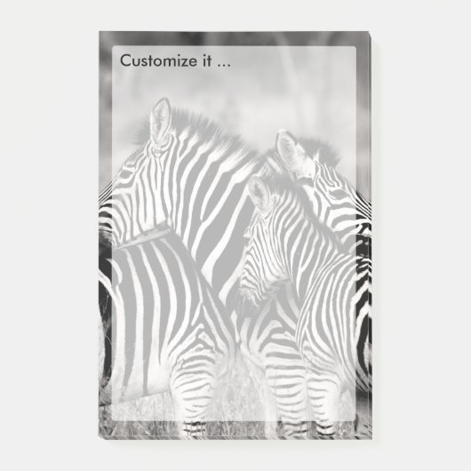 Cute Zebra Herd Natuur Safari Black White Post-it® Notes (Voorkant)