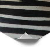 Cute Zebra Poster (Hoek)