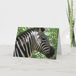 Cute Zebra Wenskaart Kaart