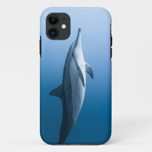 Cute Zee Dolphin iPhone 11 Hoesje