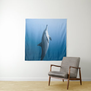 Cute Zee Dolphin Wandkleed