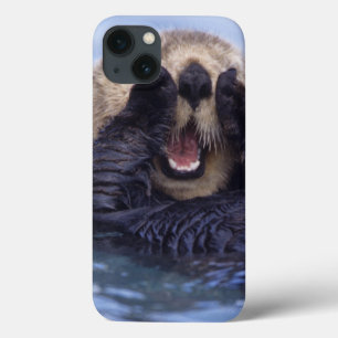 Cute Zee Otter   Alaska, Verenigde Staten iPhone 13 Hoesje