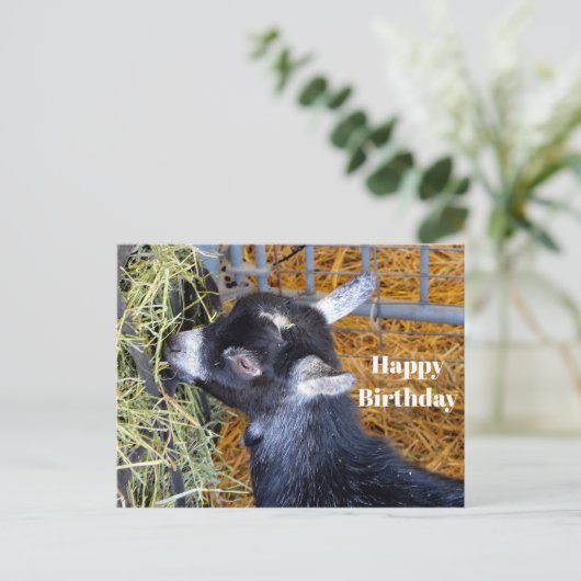 Cute Zwarte Babygeit Eet Hooifoto Verjaardag Briefkaart (Staand voorkant)