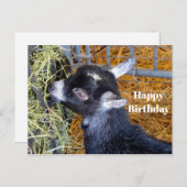Cute Zwarte Babygeit Eet Hooifoto Verjaardag Briefkaart (Voorkant / Achterkant)