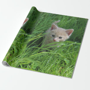 Cuteness Cadeaupapier