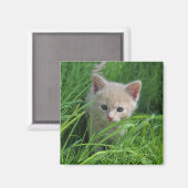 Cuteness Magneet (Voorkant / Achterkant)