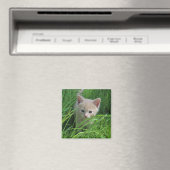 Cuteness Magneet (Insitu (Vaatwasser))