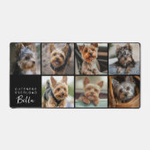 Cuteness Overboard Script Pet Photo (Recto)